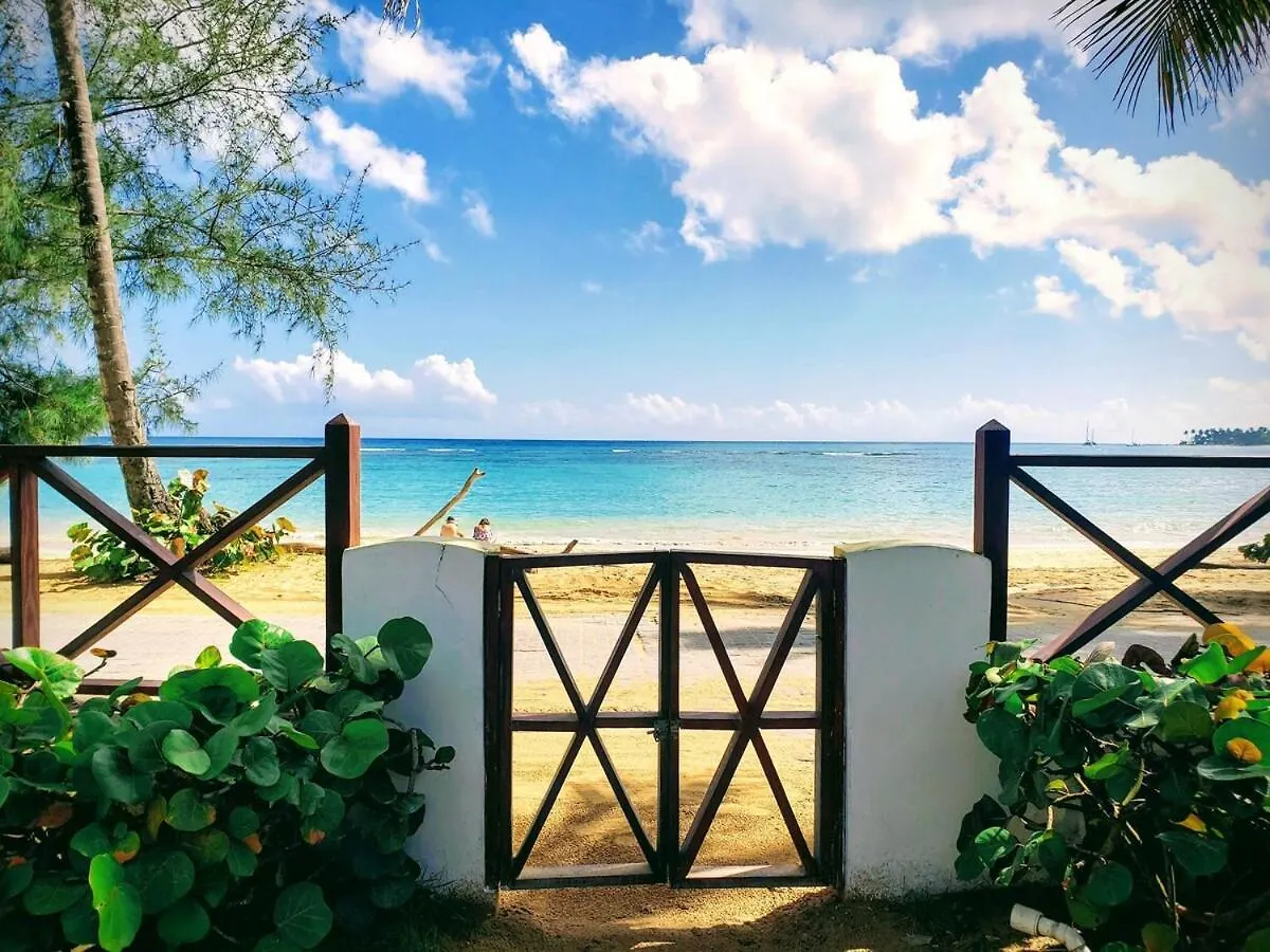 Luxury Penthouse Best Ocean Views Pools Bbq Maid Las Terrenas 0*,